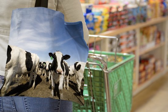 Sac bandoulière - Sac de plage - Shopper Vache - Sable - Animaux - 45x45 cm - Sac coton