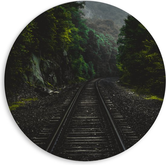 WallClassics - PVC Schuimplaat Muurcirkel - Treinspoor tussen Groene Bossen - 80x80 cm Foto op Muurcirkel (met ophangsysteem)