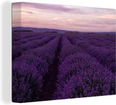 Canvas Schilderij Lavendel - Paars - Bloemen - Natuur - 120x90 cm - Wanddecoratie