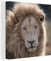 Canvas Schilderij Leeuw - Dier - Wit - 90x90 cm - Wanddecoratie