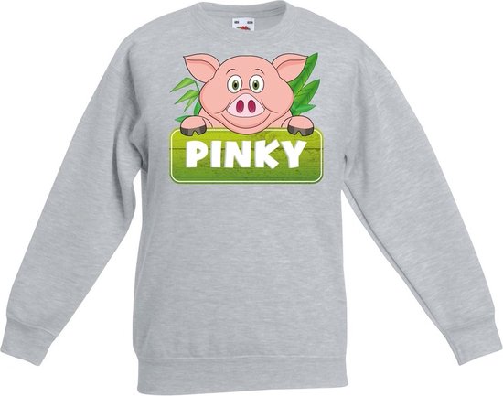 Pinky de big sweater grijs voor kinderen - unisex - varkentje trui - kinderkleding / kleding 98/104