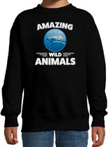 Sweater haai - zwart - kinderen - amazing wild animals - cadeau trui haai / haaien liefhebber 134/146