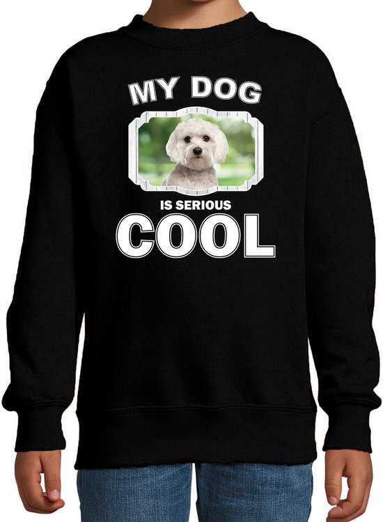 Maltezer honden trui / sweater my dog is serious cool zwart - kinderen - Maltezers liefhebber cadeau sweaters - kinderkleding / kleding 152/164