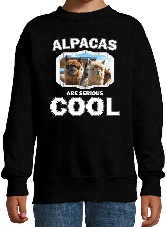 Dieren alpacas sweater zwart kinderen - alpacas are serious cool trui jongens/ meisjes - cadeau alpaca/ alpacas liefhebber - kinderkleding / kleding 152/164