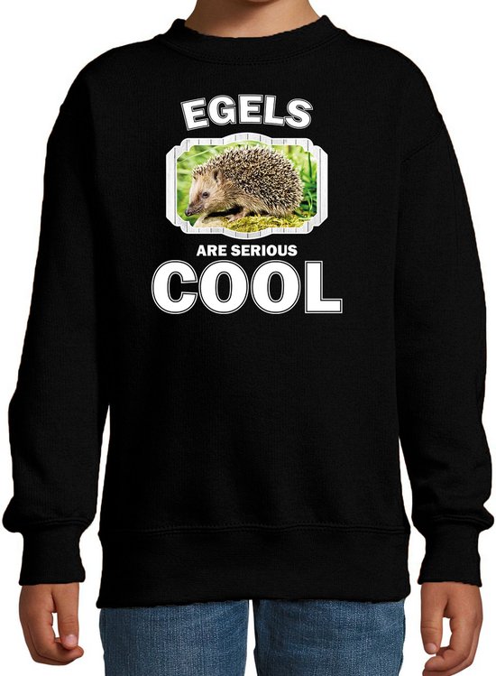 Dieren egels sweater zwart kinderen - egels are serious cool trui jongens/ meisjes - cadeau egel/ egels liefhebber - kinderkleding / kleding 170/176