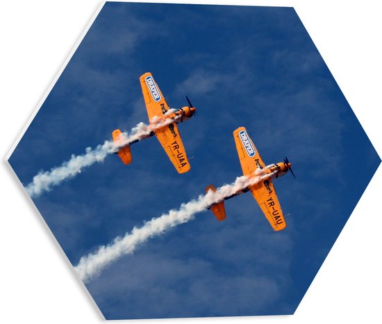 WallClassics - PVC Schuimplaat Hexagon  - Duo Zweefvliegtuigen - 40x34.8 cm Foto op Hexagon (Met Ophangsysteem)