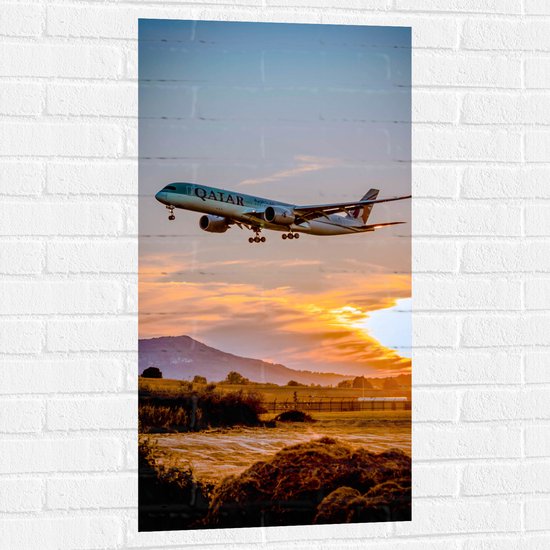 WallClassics - Muursticker - Blauw Laagvliegend Vliegtuig met Zon - 50x100 cm Foto op Muursticker