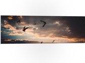 WallClassics - PVC Schuimplaat - Vogels in de Lucht bij Zonsondergang - 90x30 cm Foto op PVC Schuimplaat (Met Ophangsysteem)