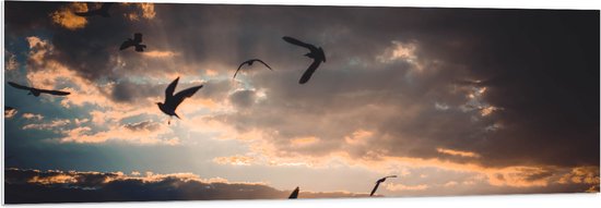 WallClassics - PVC Schuimplaat - Vogels in de Lucht bij Zonsondergang - 150x50 cm Foto op PVC Schuimplaat (Met Ophangsysteem)