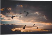 WallClassics - Vlag - Vogels in de Lucht bij Zonsondergang - 75x50 cm Foto op Polyester Vlag
