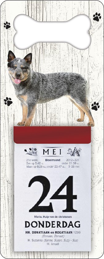 Scheurkalender 2026 Hond: australien cat dog