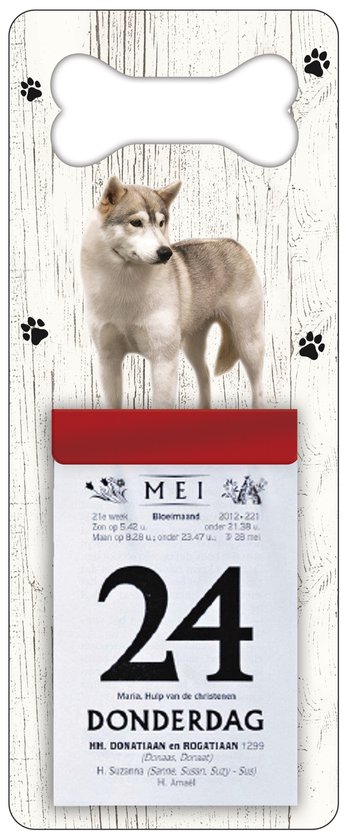 Scheurkalender 2024 Hond: Groenlandhond