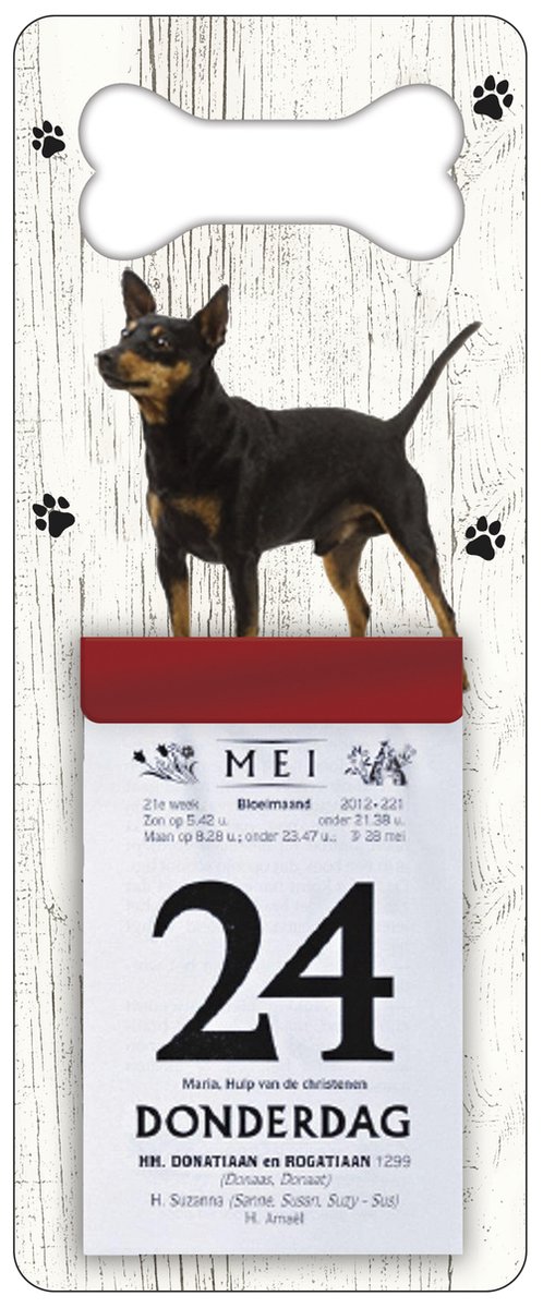 Scheurkalender 2026 Hond: Dwergpincher