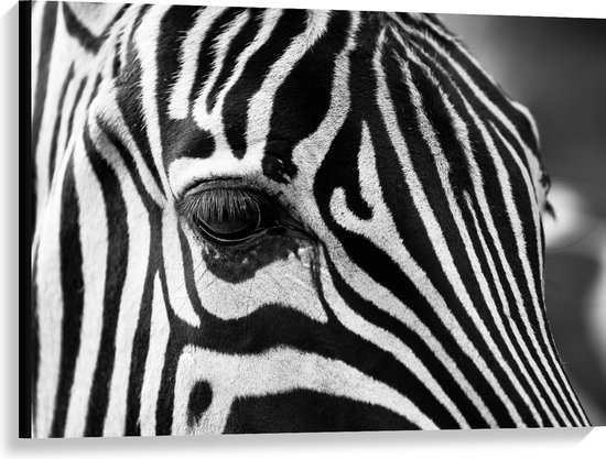 WallClassics - Canvas  - Voorhoofd van een Zebra - 100x75 cm Foto op Canvas Schilderij (Wanddecoratie op Canvas)