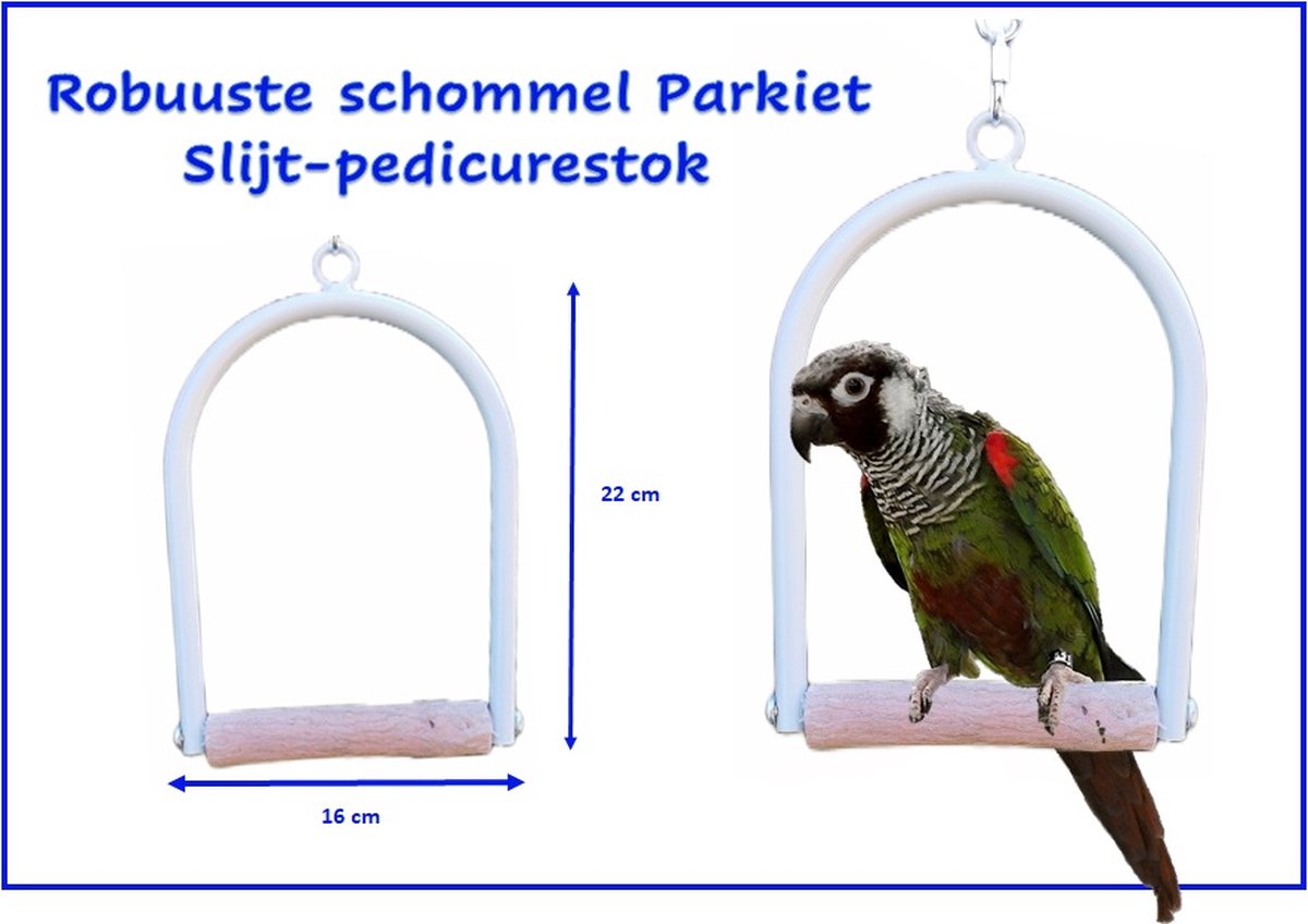 Robuuste vogel schommel met slijtstok voor Parkieten - kleine papegaai -  caiques -... | bol.com