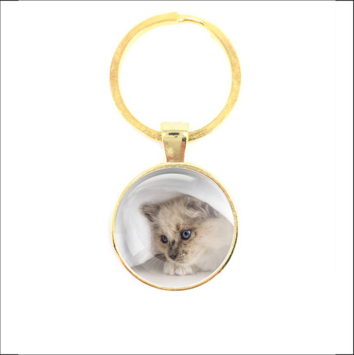 Sleutelhanger Glas - Kat