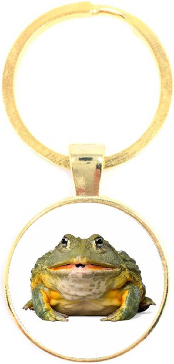 Sleutelhanger Glas - Kikker