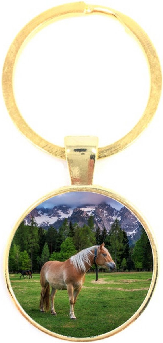Sleutelhanger Glas - Paard