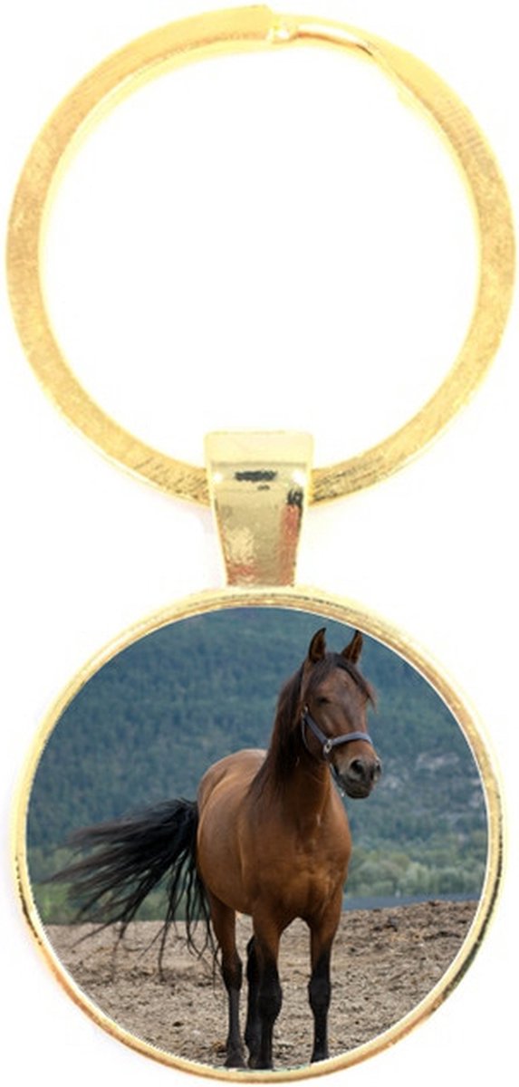 Sleutelhanger Glas - Paard