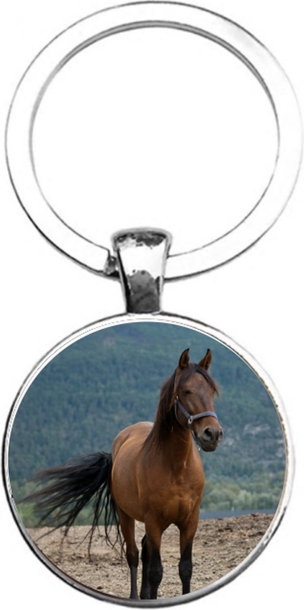 Sleutelhanger Glas - Paard