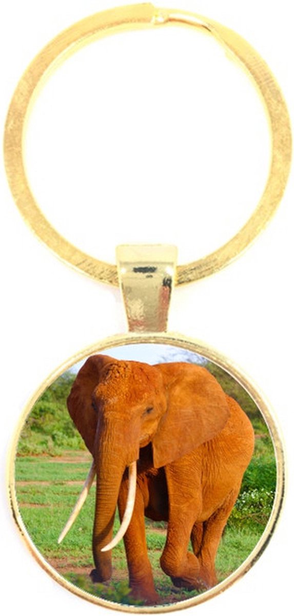 Sleutelhanger Glas - Olifant