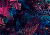 Fotobehang - Vlies Behang - Tropische Jungle Bladeren - Planten - Exotisch - 416 x 254 cm