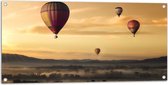 WallClassics - Tuinposter – Luchtballonen Zwevend boven Open Veld - 100x50 cm Foto op Tuinposter  (wanddecoratie voor buiten en binnen)