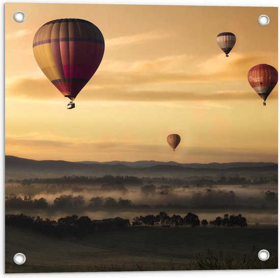 WallClassics - Tuinposter – Luchtballonen Zwevend boven Open Veld - 50x50 cm Foto op Tuinposter  (wanddecoratie voor buiten en binnen)