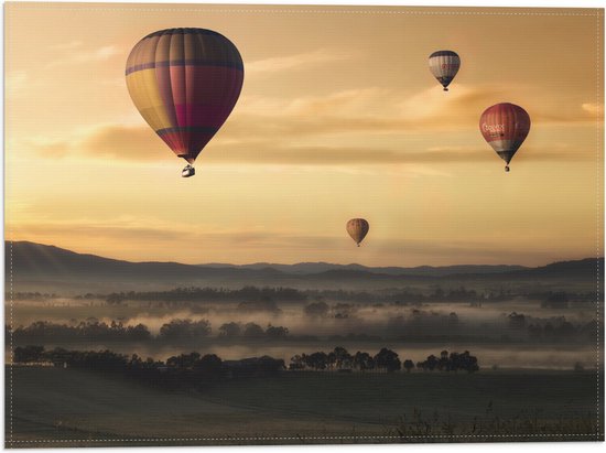 WallClassics - Vlag - Luchtballonen Zwevend boven Open Veld - 40x30 cm Foto op Polyester Vlag