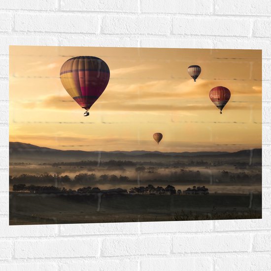 WallClassics - Muursticker - Luchtballonen Zwevend boven Open Veld - 80x60 cm Foto op Muursticker