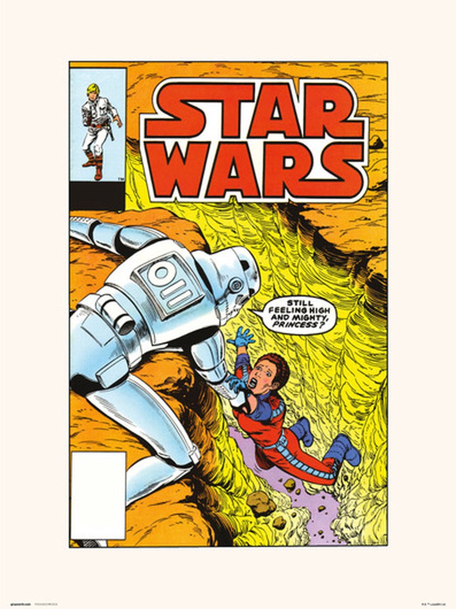 Grupo Erik STAR WARS 86 THE ALDERAAN FACTOR - Art Print 30x40 cm