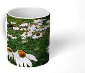 Mok - Een veld met witte Echinacea bloemen - 350 ML - Beker