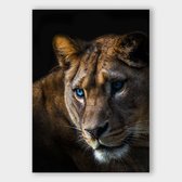 Poster Lioness ² - Papier - 70x100 cm - Meerdere Afmetingen & Prijzen | Wanddecoratie - Interieur - Art - Wonen - Schilderij - Kunst