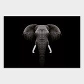 Artistic Lab Poster - Dark Elephant - 270 X 320 Cm - Multicolor