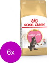 Royal Canin Maine Coon Kitten - Kitten-Kattenvoer - 6 x 2 kg