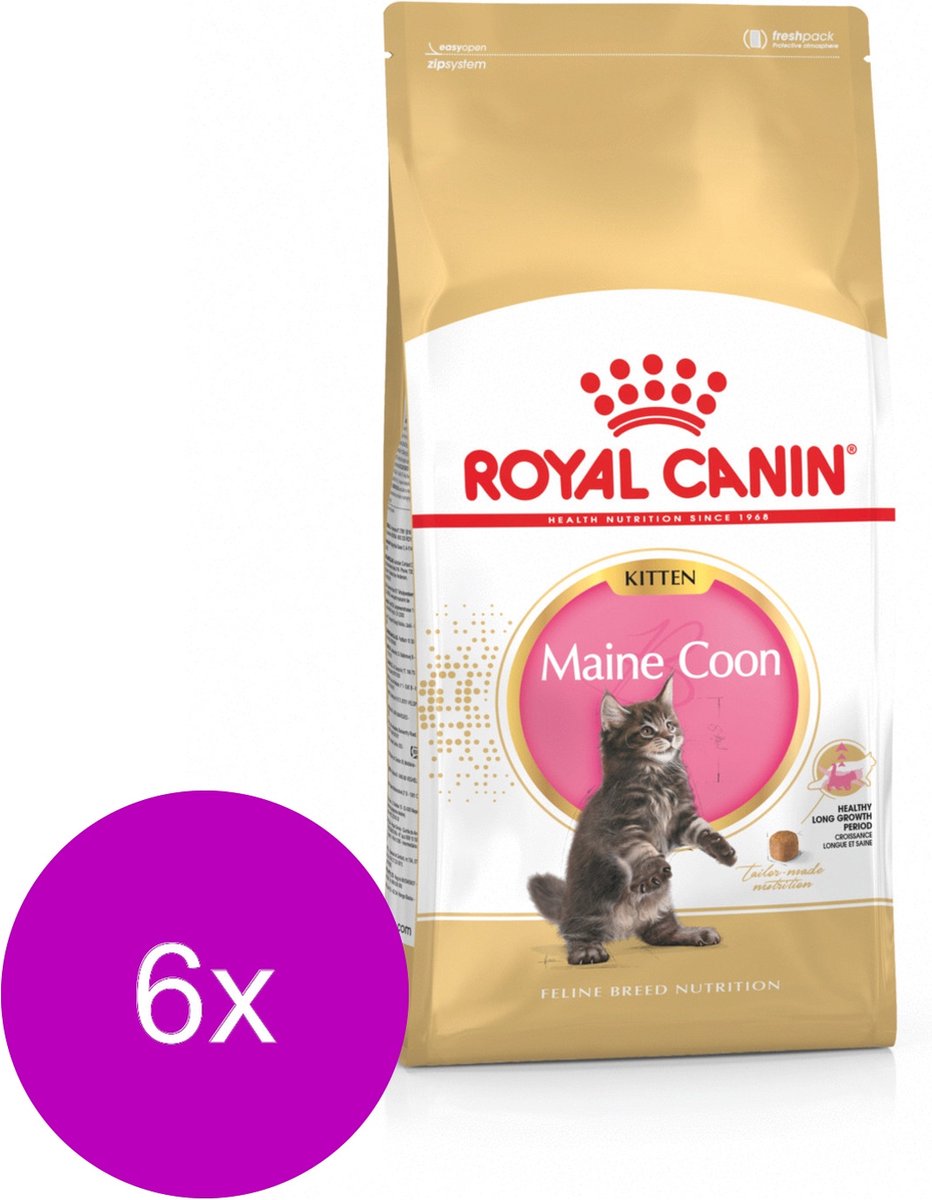 Royal Canin Royal Canin Maine Coon Kitten - Kitten-Kattenvoer - 6 x 2 kg