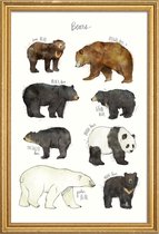 JUNIQE - Poster met houten lijst Beren illustratie -40x60 /Bruin & Wit