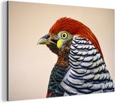 Wanddecoratie Metaal - Aluminium Schilderij Industrieel - Fazant - Portret - Vogel - 150x100 cm - Dibond - Foto op aluminium - Industriële muurdecoratie - Voor de woonkamer/slaapkamer