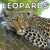 Leopards Calendar 2022