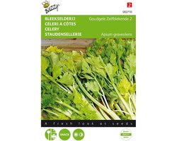 Buzzy Zaden - Bleekselderie Goudgele Zelfblekende - Apium graveolens