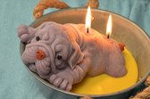 Megagrote "Hond in de Pot" kaars, (GRIJS) met de hand gemaakte kaars door Candles by Milanne - BEKIJK VIDEO