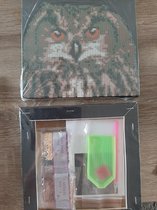Diamond painting - Uil - op houten canvas