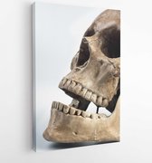 Canvas schilderij - Human skull with white background -   46510 - 40-30 Vertical