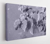 Canvas schilderij - Tropical leaves background  -     330230774 - 40*30 Horizontal