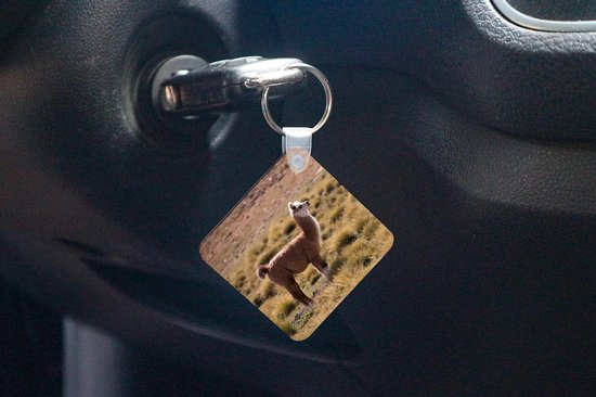 Porte-clés - Cadeaux - Alpaga - Herbe - Animal - Plastique