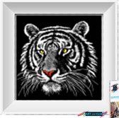 Artstudioclub®  Diamond painting volwassenen 25x25 cm Zwarte tijger