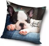 Hond Sweet Dreams Sierkussenhoes - 40 x 40 cm