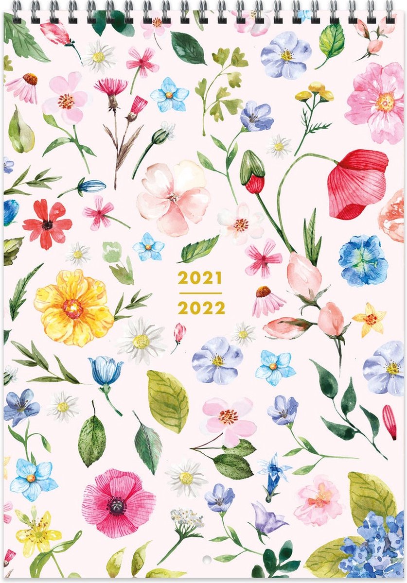 Familieplanner 2021-2022 halverwege het jaar wandkalender - A4 - blush bloemen - halfjaarlijkse maand om academische muurplanner met stickers te bekijken