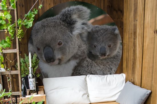 Garden Circle Koalas - Père - Enfant - Enfants - Garçons - Filles - 150x150 cm - Affiche Ronde de Jardin - Extérieur