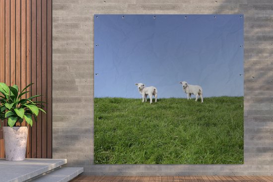Tuinposter 200x200 cm - Tuindecoratie Twee lammetjes die zich op een grasdijk bevinden - Poster voor in de tuin - Buiten decoratie - Schutting tuinschilderij - Tuindoek muurdecoratie - Wanddecoratie balkondoek